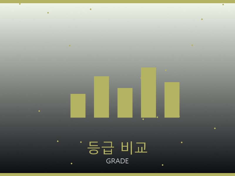 피비 파일로 레플리카 사이트 등급 기준 비교